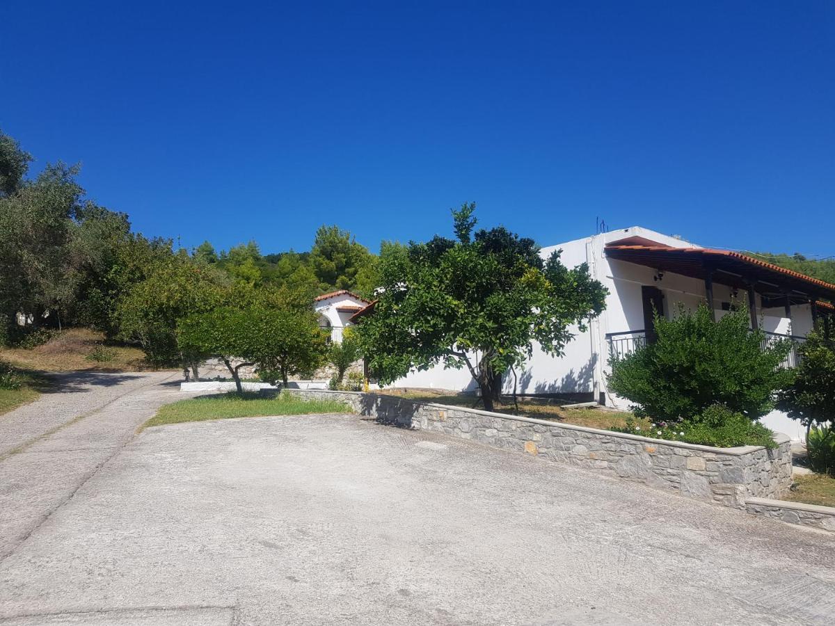Kaiti Studios 1 Kukunariész Kültér fotó
